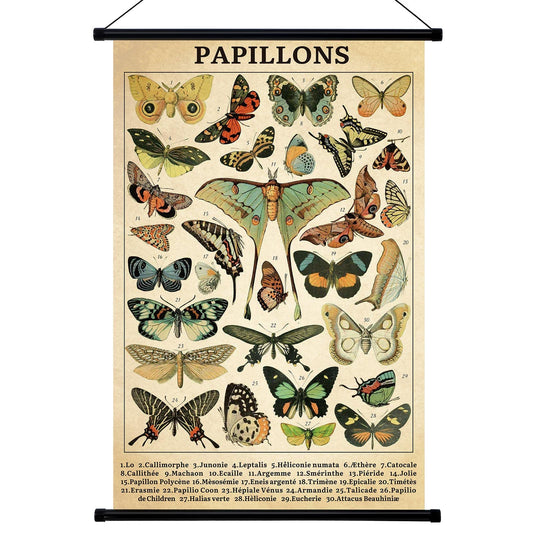 Geyee Vintage Poster Fungus Wall Art Prints Rustic Wall Hanging Illustrative Reference Chart Poster for Living Room Office Classroom Bedroom Decor Frame, 15.8 x 23.6 Inch (Butterfly)