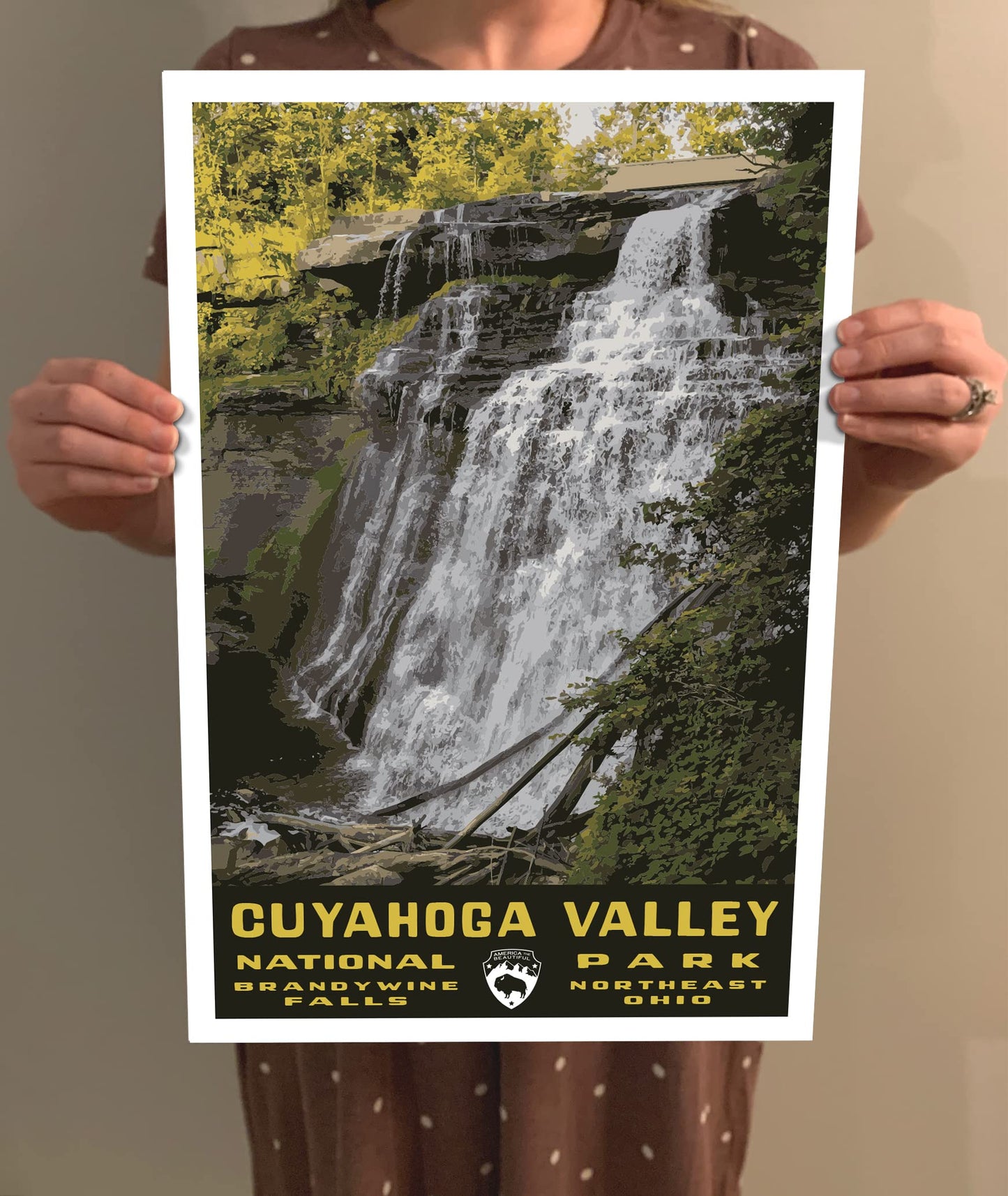 Cuyahoga Valley National Park Vintage-Style Travel Poster - 8x10-12x18-18x24-24x36 / 4x6 Postcard WPA Style Art Print Ohio USA Brandywine Falls (8x10 Inch Poster)