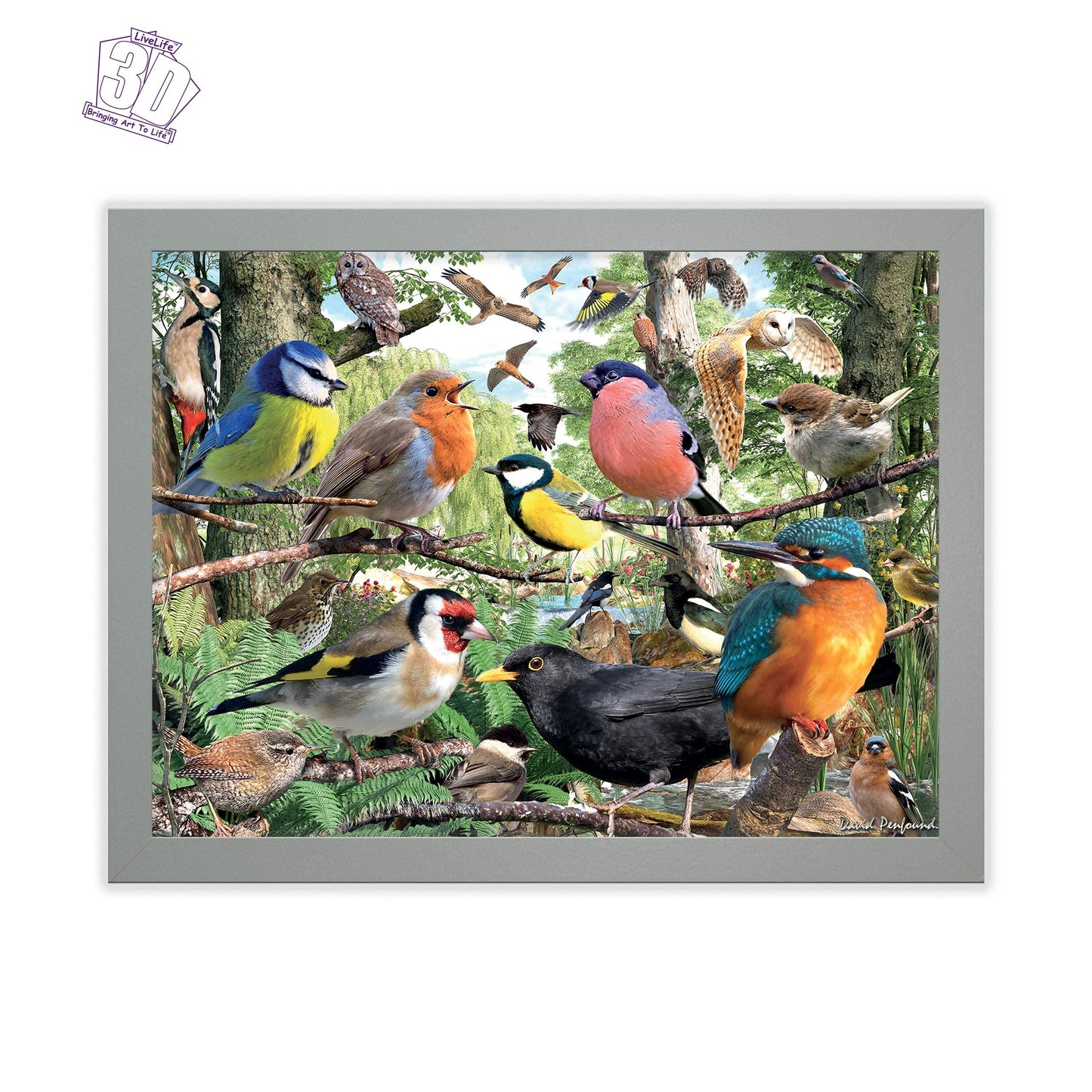 3D LiveLife Lenticular Wall Art Prints - Nature's home from Deluxebase. Unframed 3D Bird Poster. Perfect wall decor. Original artwork licensed from renowned artist, David Penfound