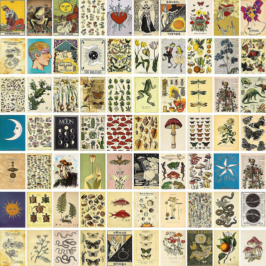 SUPOW Vintage Wall Collage Kit 70pcs, Aesthetic Room Decor Pictures, Cottagecore Botanical Art Illustration, Dorm Photo Prints, Tarot Posters, Trendy Bedroom for Teen Girls 4x6 inch