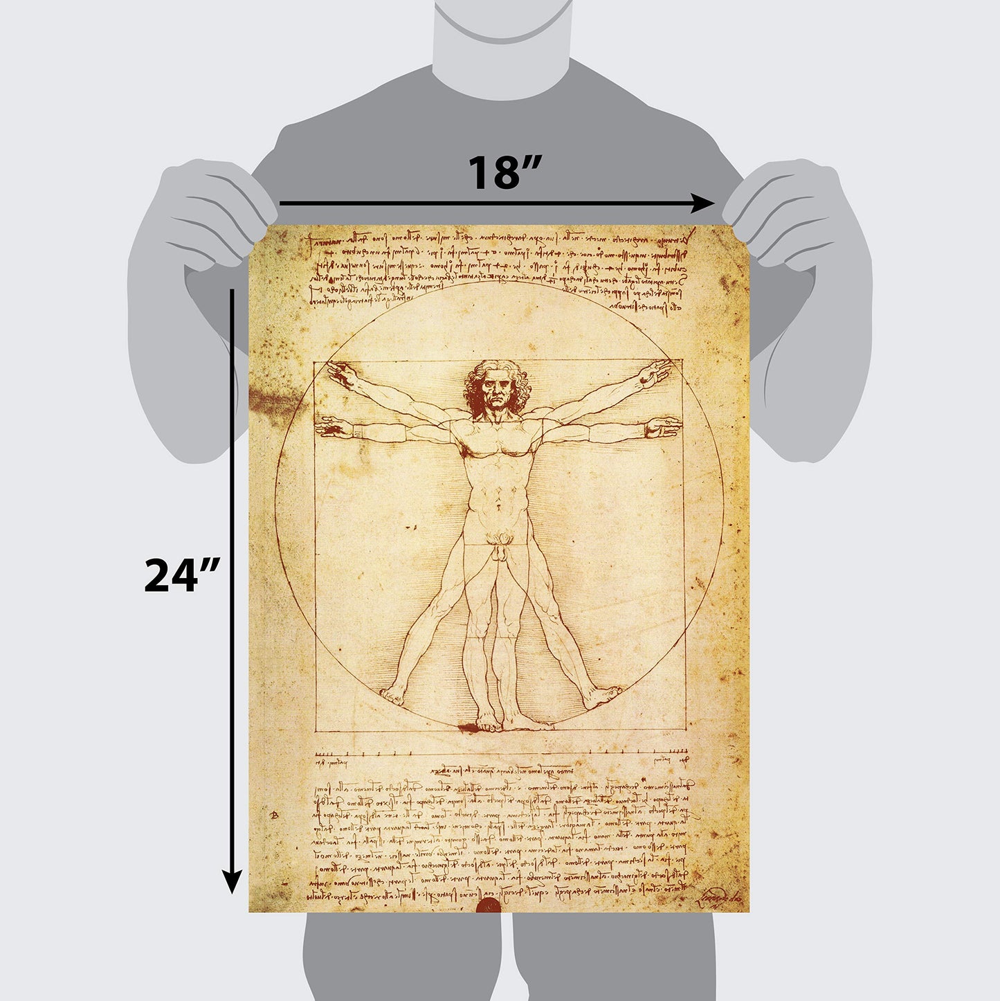 Palace Learning Vitruvian Man by Leonardo Da Vinci Poster - Proportions of The Human Figure Drawing - Fine Art Print (Laminated, 18" x 24")