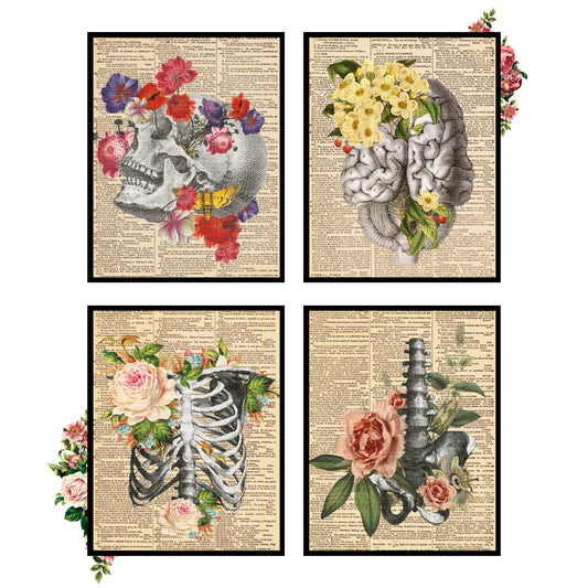 Insire Anatomy Art, Anatomy Wall Art, Medical Art Wall Decor, Human Anatomy Decor, Anatomy Pictures Wall Decor, Anatomy Posters Aesthetic, Skull Pictures - Unframed (8x10”)