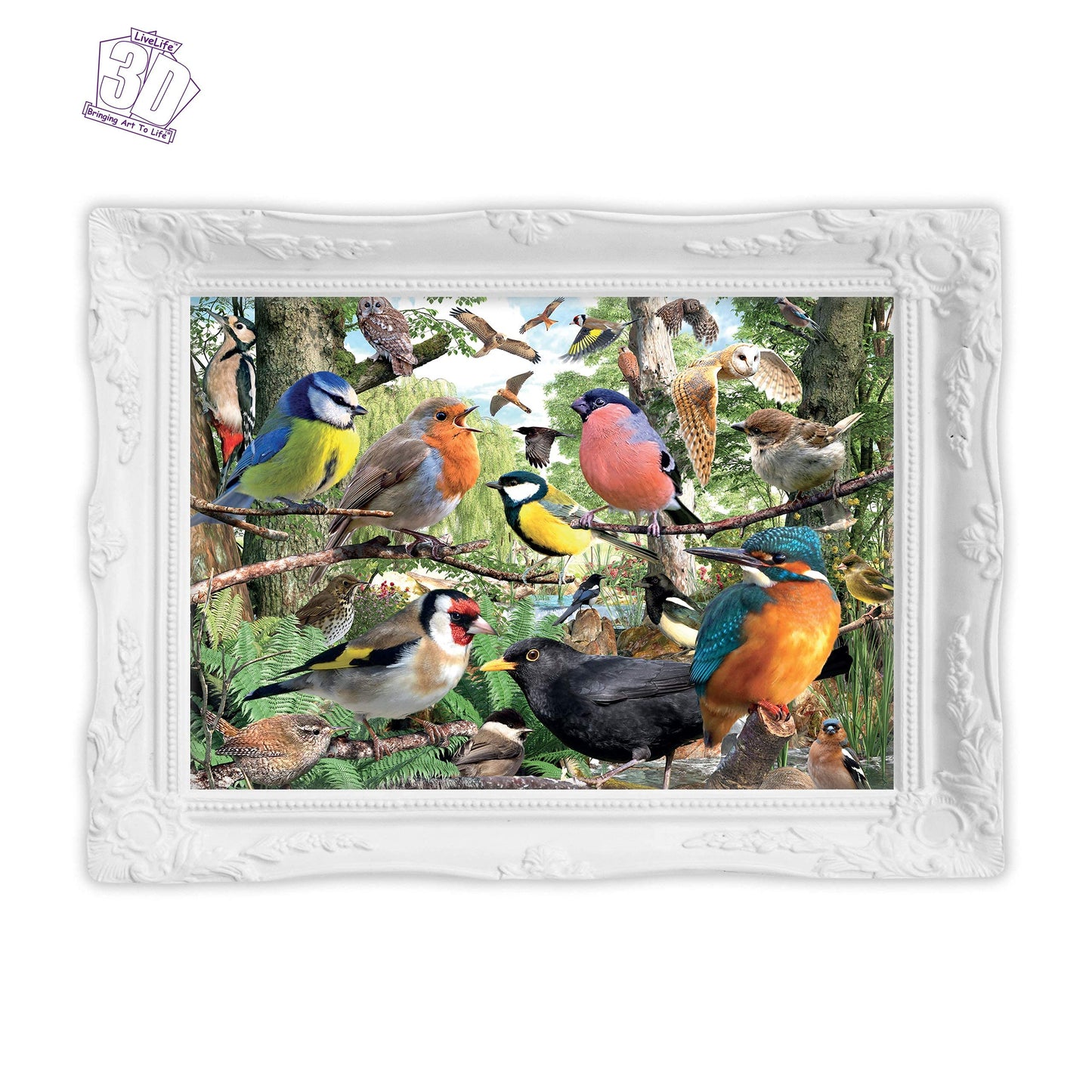 3D LiveLife Lenticular Wall Art Prints - Nature's home from Deluxebase. Unframed 3D Bird Poster. Perfect wall decor. Original artwork licensed from renowned artist, David Penfound