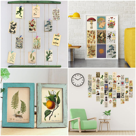 8TEHEVIN 50PCS Botanical Illustration Tarot Aesthetic Pictures Wall Collage Kit, Trendy Small Poster for Dorm, Vintage Style Art Print Photo Collection, Bedroom Decor for Teens Boys Girls