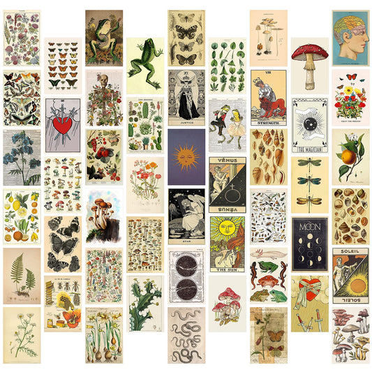 8TEHEVIN 50PCS Botanical Illustration Tarot Aesthetic Pictures Wall Collage Kit, Trendy Small Poster for Dorm, Vintage Style Art Print Photo Collection, Bedroom Decor for Teens Boys Girls