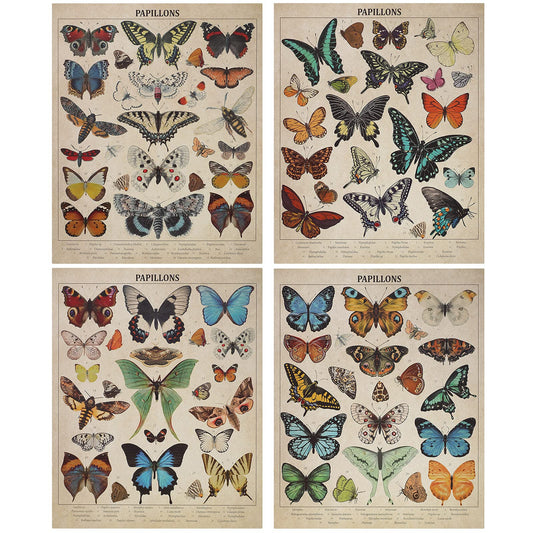 Spiareal 4 Pieces Butterflies Posters Vintage Papillons Butterflies Poster Wall Art Prints Butterfly Printed Wall Art Posters Butterfly Vintage Decor Butterfly Pictures Paper for Home Bedroom