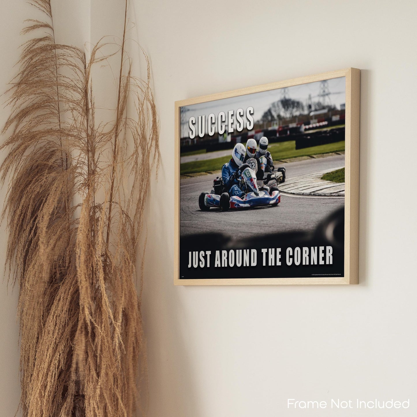 Go Kart Racing Motivational Poster Art Print 11x14 Kids Room Wall Decor